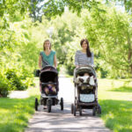 Mothers With Baby Strollers Walking In Park