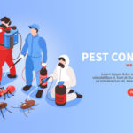 Pest Control Web Banner