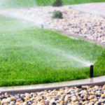 26608833 – automatic sprinklers watering grass