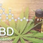 Cbd oil, Cannabis of the formula CBD.
