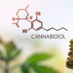 CBD in pipette against Hemp plant and chemical molecule